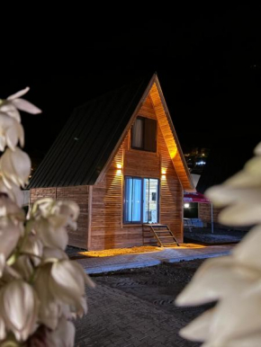 Şampiyon bungalow 2
